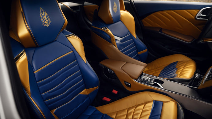 Transform Your Ride with Exclusive Vegeta Car Accessories