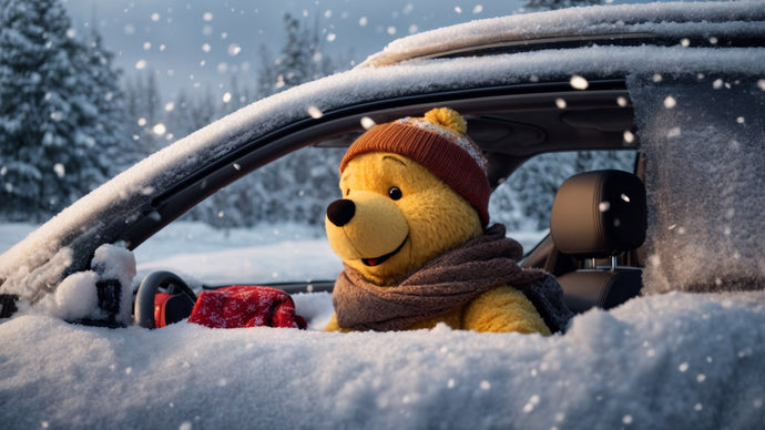 Turn Your Car into a Hundred Acre Wood Haven with Winnie the Pooh Car Mats: The Perfect Road Trip Companions
