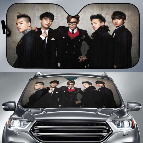 Big Bang Car Auto Sun Shades Universal Fit 051312 - CarInspirations