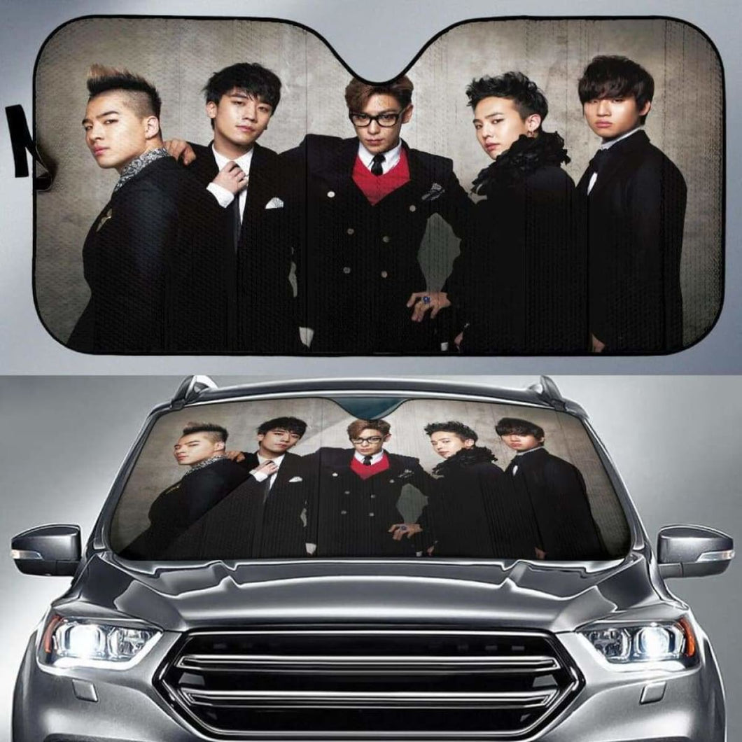 Big Bang Car Auto Sun Shades Universal Fit 051312 - CarInspirations